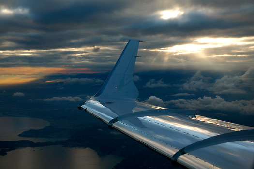 Wing